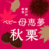 ベビー母恵夢秋栗