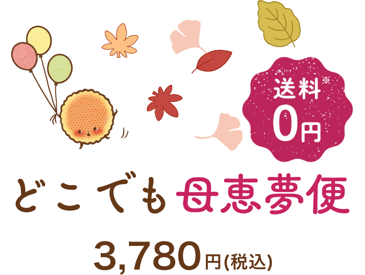 どこでも母恵夢便 送料無料 3,500円（税込）
