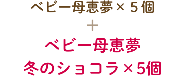 ベビー母恵夢 冬のショコラ×5個