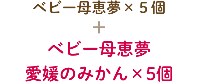 ベビー母恵夢 愛媛のみかん×5個