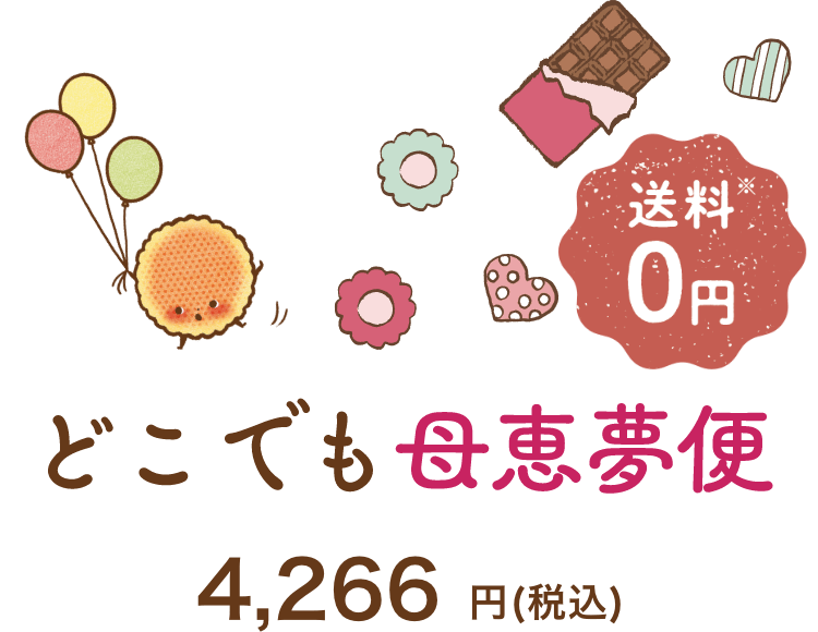 どこでも母恵夢便 送料無料 4,266円（税込）