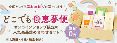 どこでも母恵夢便