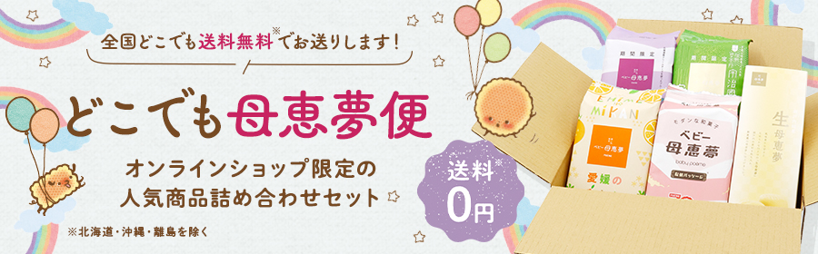 どこでも母恵夢便