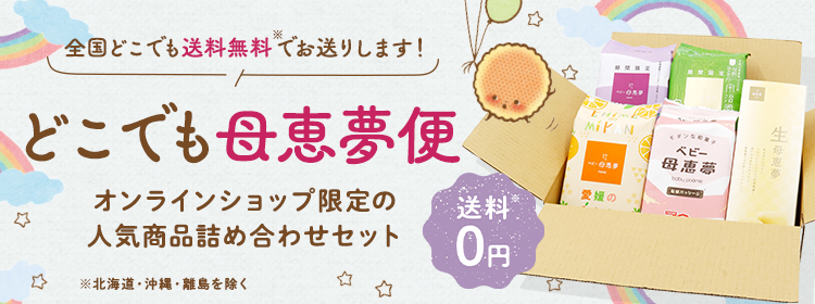 どこでも母恵夢便