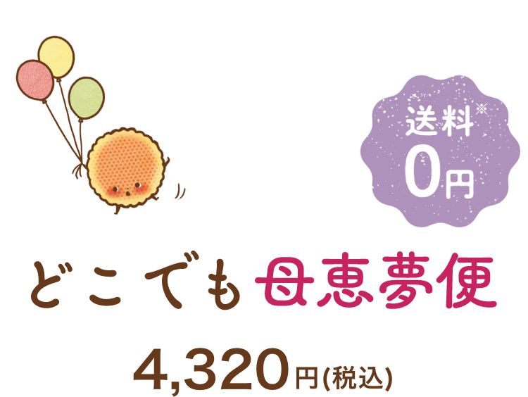 どこでも母恵夢便 送料無料 4,320円（税込）