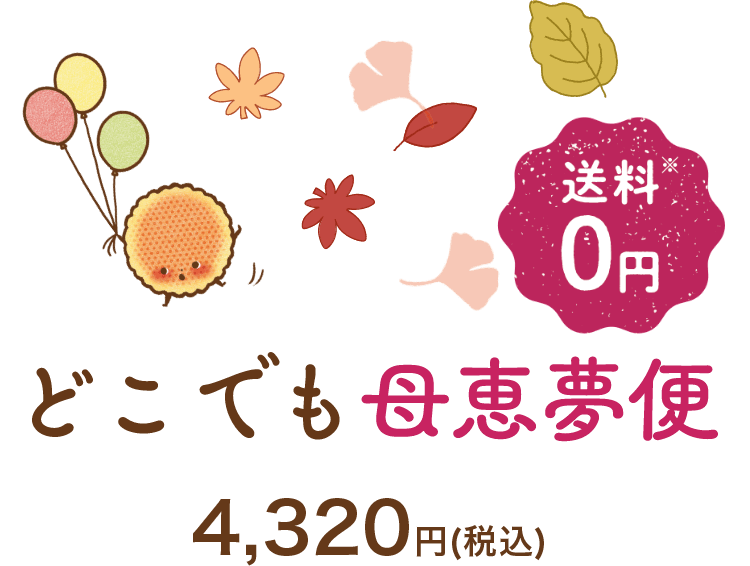 どこでも母恵夢便 送料無料 4,320円（税込）