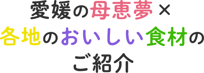 愛媛の母恵夢×各地のおいしい食材のご紹介