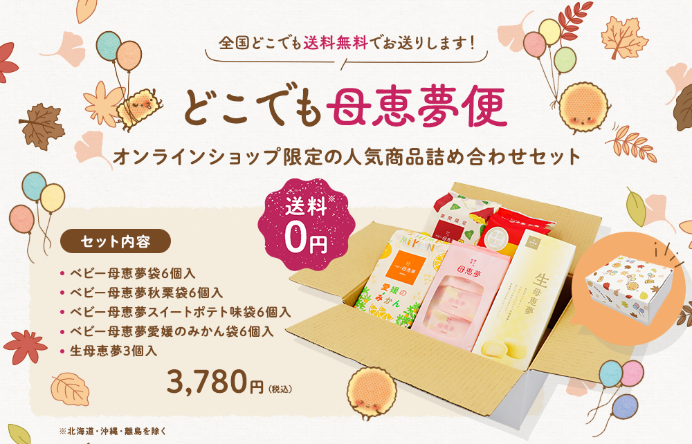 どこでも母恵夢便