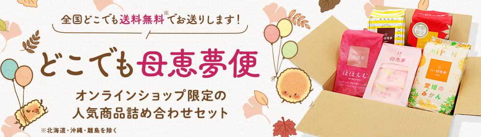 どこでも母恵夢便