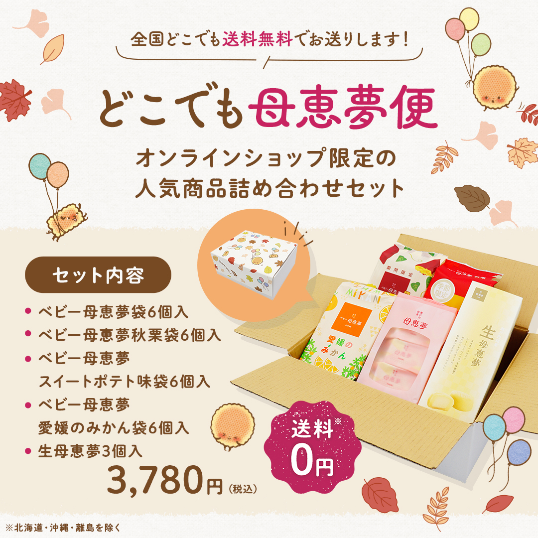 どこでも母恵夢便