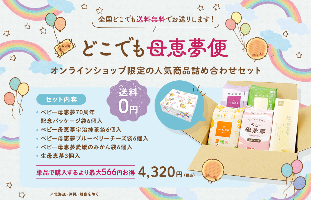 どこでも母恵夢便