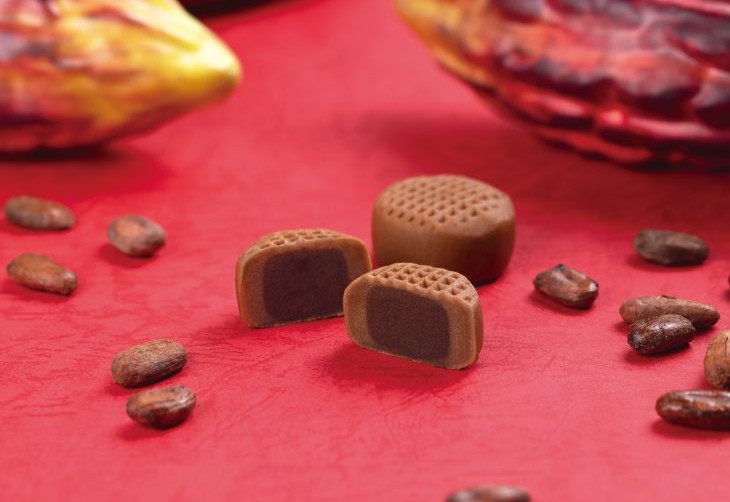 生母恵夢ショコラ