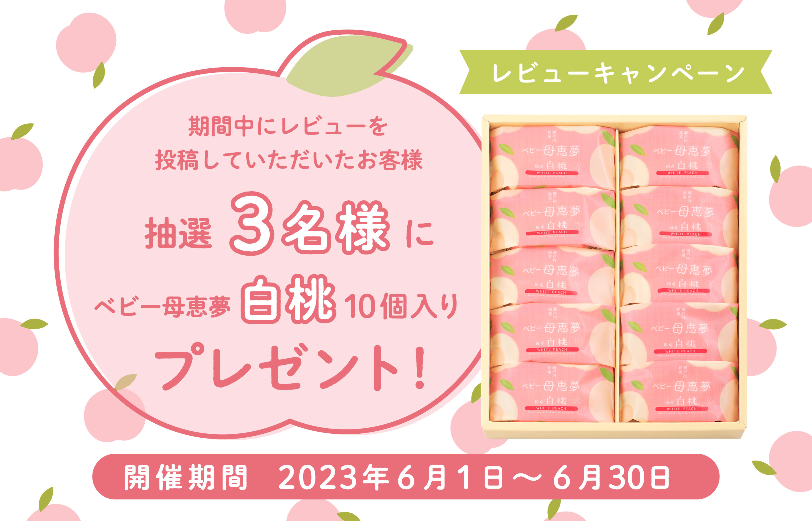 レビューキャンペーン
